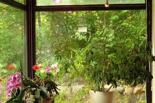 Foto - 6 Zimmer Einfamilienhaus zum Kaufen in Gifhorn