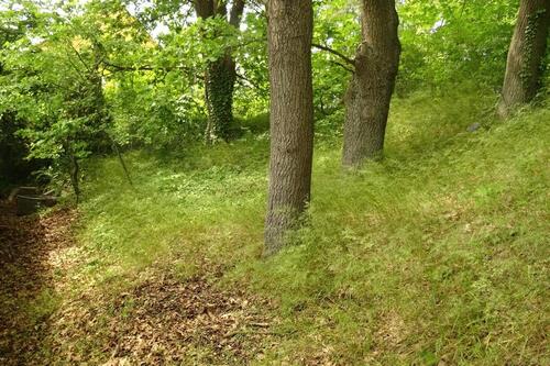 Foto - 6 Zimmer Einfamilienhaus in Gifhorn