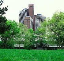 Unicenter Appartement 40qm Köln-Sülz