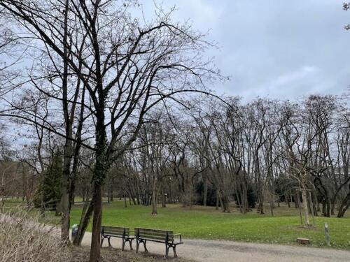 Foto - SONNIGES KOMFORT-WG-ZIMMER MIT SÜDBALKON AM ELLI-LUCHT-PARK