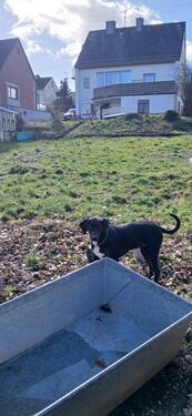 Foto - 8 Zimmer Einfamilienhaus zum Kaufen in Idar-Oberstein