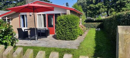 Foto - andere in Köln
