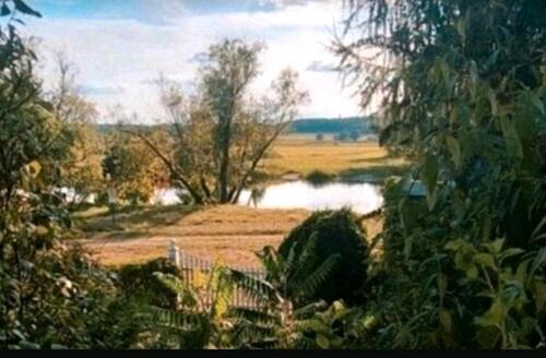 Foto - Grundst&uuml;ck in Milower Land