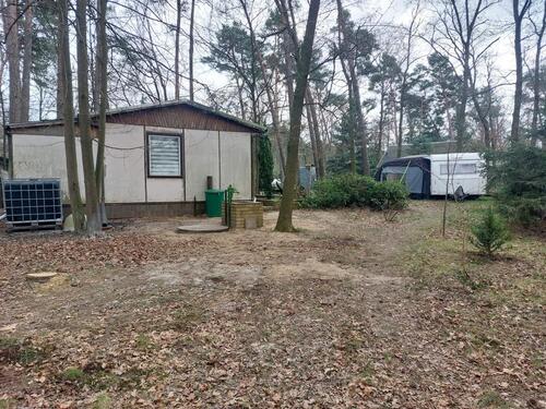 Foto - Waldgrundstück mit Haus zur Pacht in der Dübener Heide, 1100qm