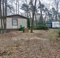 Waldgrundstück mit Haus zur Pacht in der Dübener Heide, 1100qm - Bad Düben