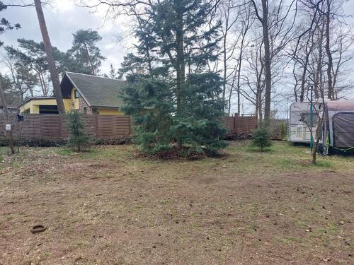 Foto - Grundst&uuml;ck in Bad Düben