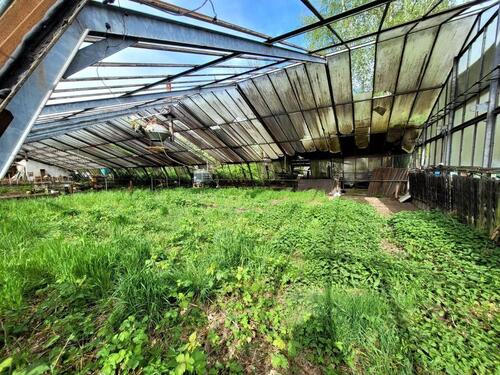 Foto - GrünflächeOrangerie - 250,00&nbsp;EUR Kaltmiete, ca.&nbsp; 0,00&nbsp;m&sup2;