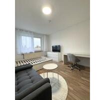 Geschmackvolle 1-Zimmer-Wohnung in Mannheim