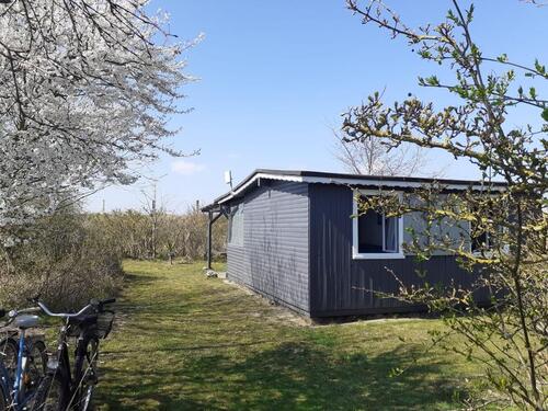 Foto - Beachhouse bei DahmeOstsee – Glamping-Idyll auf Campingplatz