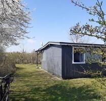 Beachhouse bei DahmeOstsee – Glamping-Idyll auf Campingplatz - Pullach im Isartal