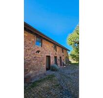 Einzigartig, Loft-Traum 3.5 Zi. in der AltstadtGartenStellplatz - Langen (Hessen)