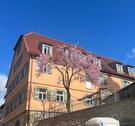 Foto - Wunderschöne Wohnung im Alten Schulhaus mit Terrasse und EBK