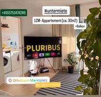 Zwischenmiete | Schönes sonniges Appartement in Offenbach - Offenbach am Main