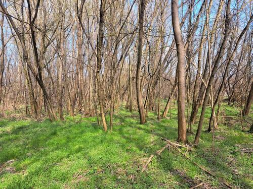 Foto - andere in Horb am Neckar zur Miete