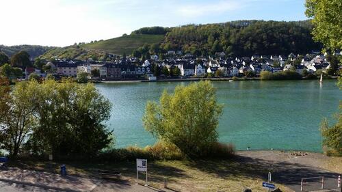 Foto - 2,5 ZKB mit Garten und Moselblick in Moselweiß