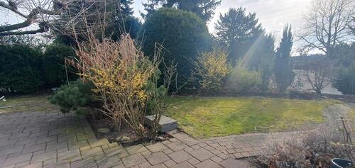 Foto - Doppelhaushälfte in Ratingen zur Miete