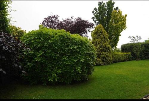 Foto - 2 Zimmer Terrassenwohnung zum Kaufen in Wuppertal