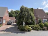 Foto - Attraktive Doppelhaushälfte in Husum mit Garten