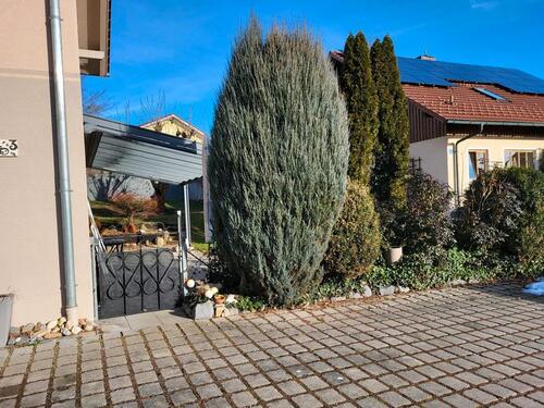 Foto - Wohnung in 94436 Simbach zu vermieten