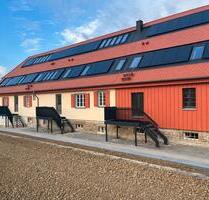 geräumige helle Wohnung auf Hofgut - Möckmühl