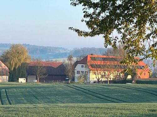 Foto - 4 Zimmer Etagenwohnung zur Miete in Möckmühl