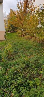 Foto - Etagenwohnung in Ochsenhausen zum Kaufen
