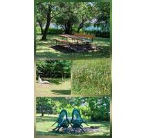 Eigentumswohnung auf dem Land in Niederbayern (Bayerischer Wald ) - Spiegelau