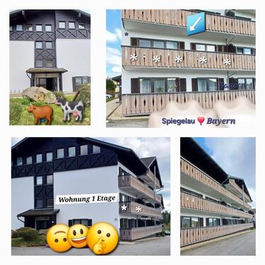 Foto - 2 Zimmer Etagenwohnung zum Kaufen in Spiegelau