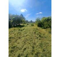 Weidefläche Gartenland Wiese - 25,00&nbsp;EUR Kaltmiete, ca.&nbsp; 0,00&nbsp;m&sup2; in Quedlinburg (PLZ: 06484)