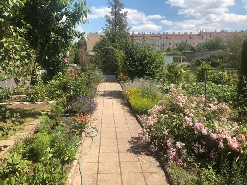 Foto - Grundst&uuml;ck in Magdeburg zur Miete