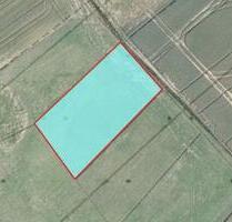 Wiese in Rockenhausen - 923,00&nbsp;EUR Kaltmiete, ca.&nbsp; 0,00&nbsp;m&sup2; in Rockenhausen (PLZ: 67806)