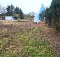 Pferdewiese, Scharfe - 50,00&nbsp;EUR Kaltmiete, ca.&nbsp; 0,00&nbsp;m&sup2; in Beetzendorf (PLZ: 38489)
