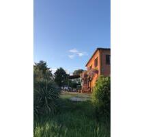 Casale kaufen in Umbrien Toskana: Haus mit Olivenhain, privat - Berlin Friedrichshain-Kreuzberg