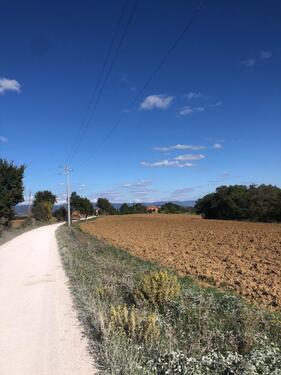 Foto - 2 Zimmer Einfamilienhaus in Berlin
