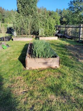 Foto - Grundst&uuml;ck in Schleusingen