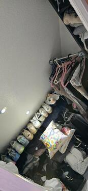 Foto - Etagenwohnung in Wolfhagen zur Miete