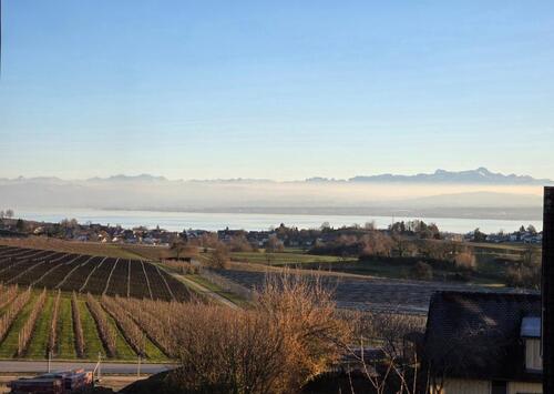 Foto - Etagenwohnung in Meersburg zur Miete