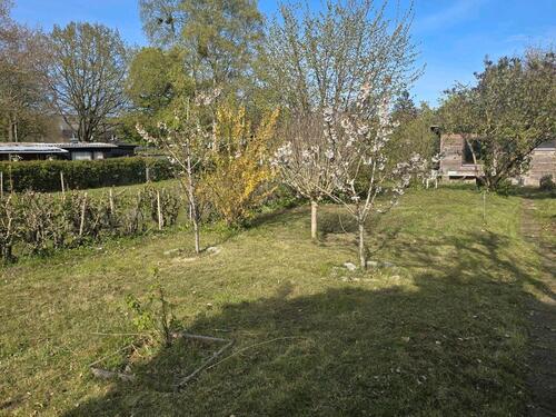 Foto - Schöner Kleingarten mit Gartenhaus abzugeben