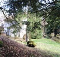 Mühlen Wohnung zu Vermieten - 1.340,00&nbsp;EUR Kaltmiete, ca.&nbsp; 170,00&nbsp;m&sup2; in Königsberg in Bayern (PLZ: 97486)