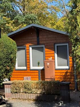 Foto - Einfamilienhaus in Hatzfeld (Eder) zum Kaufen