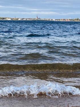 Foto - andere in Muldestausee