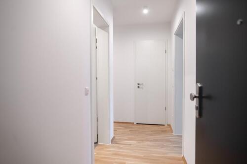 Foto - Etagenwohnung in Chemnitz zur Miete