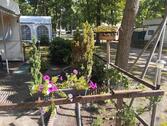 Foto - Grundstück in Großbreitenbach