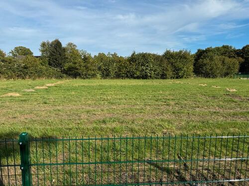 Foto - Platz zum Abstellen von PKW‘s - 750,00 EUR Miete,