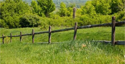 Foto - Wiesengrundstück - 160,00&nbsp;EUR Kaltmiete, ca.&nbsp; 0,00&nbsp;m&sup2;