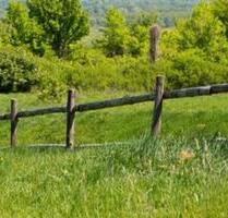 Wiesengrundstück - 160,00&nbsp;EUR Kaltmiete, ca.&nbsp; 0,00&nbsp;m&sup2; in Nister (PLZ: 57645)