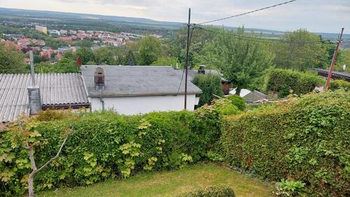 Foto - Garten in Kleingartenanlage Alteburg