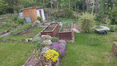 Foto - Grundst&uuml;ck in Arnstadt