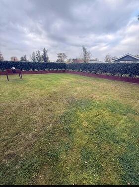 Foto - andere in Weeze