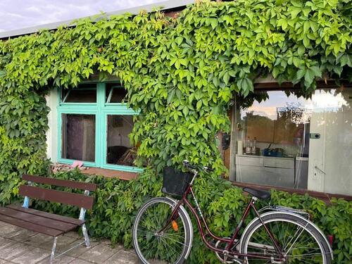 Foto - Grundst&uuml;ck zur Miete in Nienburg (Saale)